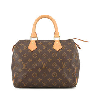 Louis Vuitton Monogram Speedy Handbag
